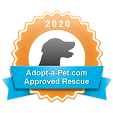 Adopt A Pet Dog Rescue