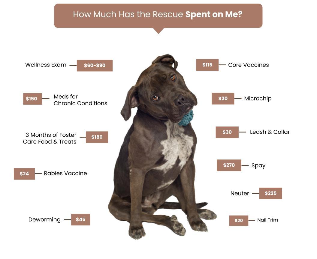 Lucky's Crew Fee Graphic-Dogs